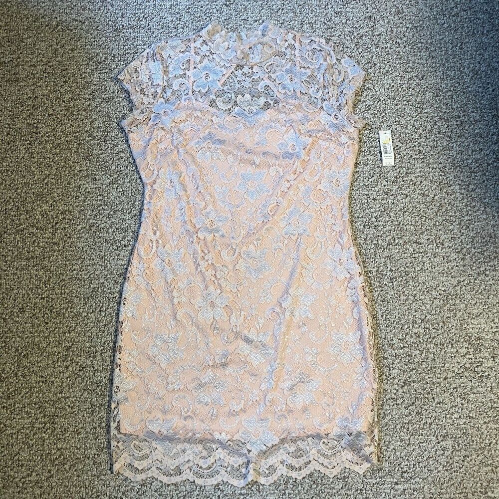 NWT Womens Lace Dress Size XL Coquette Garden Fairy Floral Light Pink Feminine